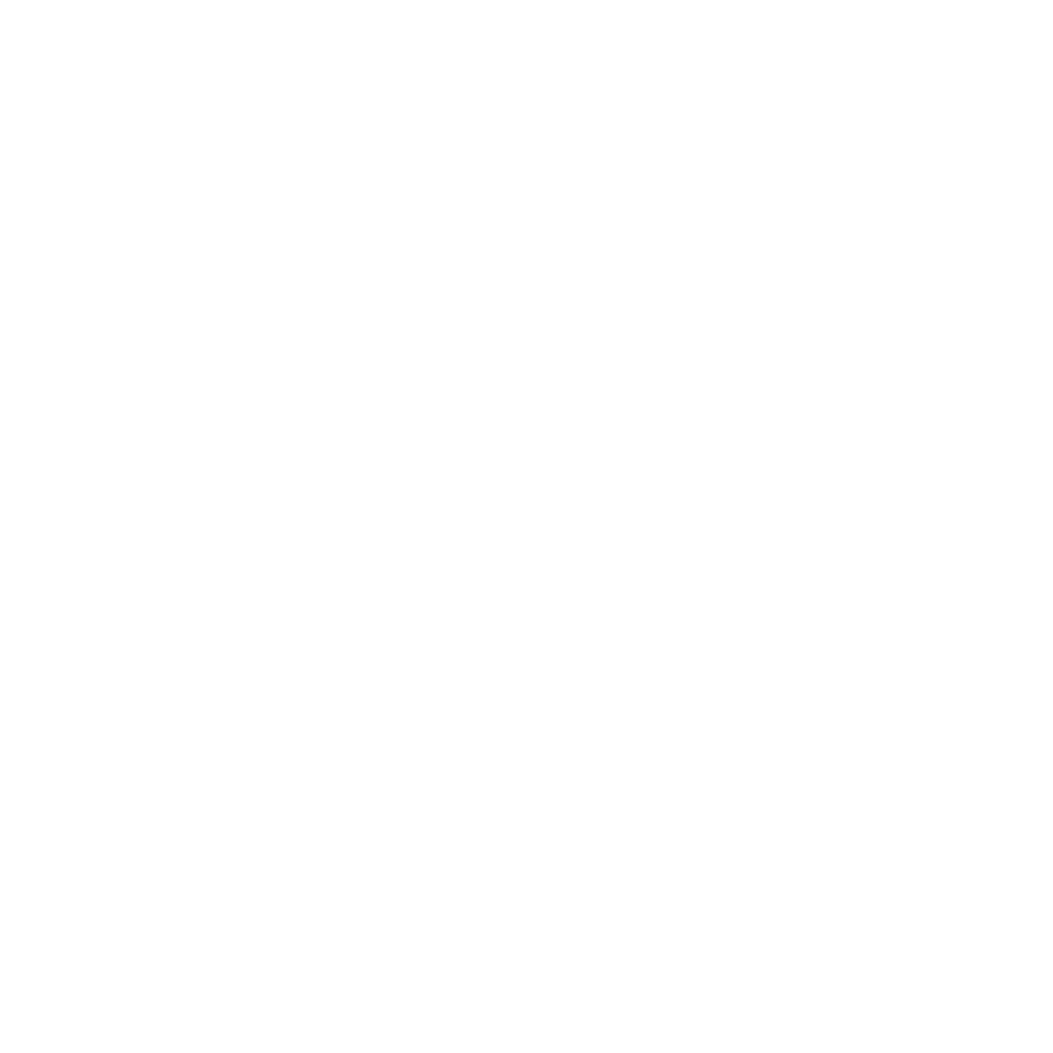 Soleya Shishabar